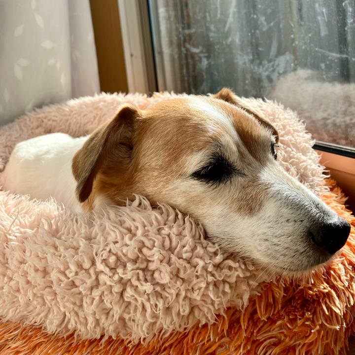 F26c8a4e e5c5 42e6 a691 fe05233b316d 1700728428112