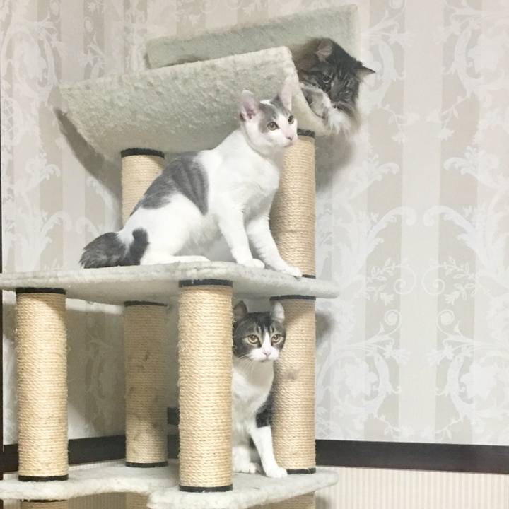 F26cbff9 8f8e 4f4f b5d7 dbbf95ae7944 1510845947128