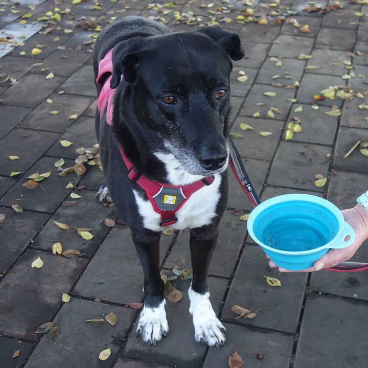 F26cc470 de94 46bc 91b4 f536c952e6f9 1699231727723