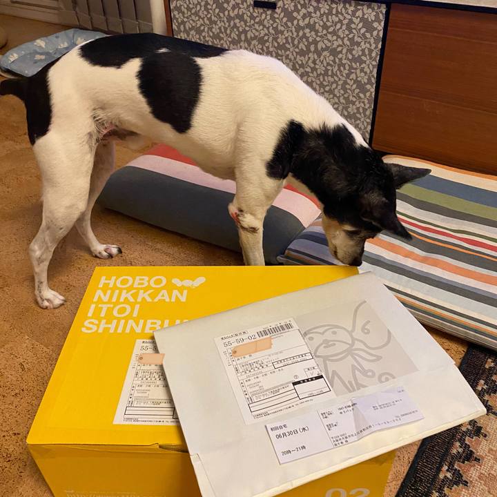 F26cdc64 3a52 42f9 a749 7bf3abcd9833 1625057780652