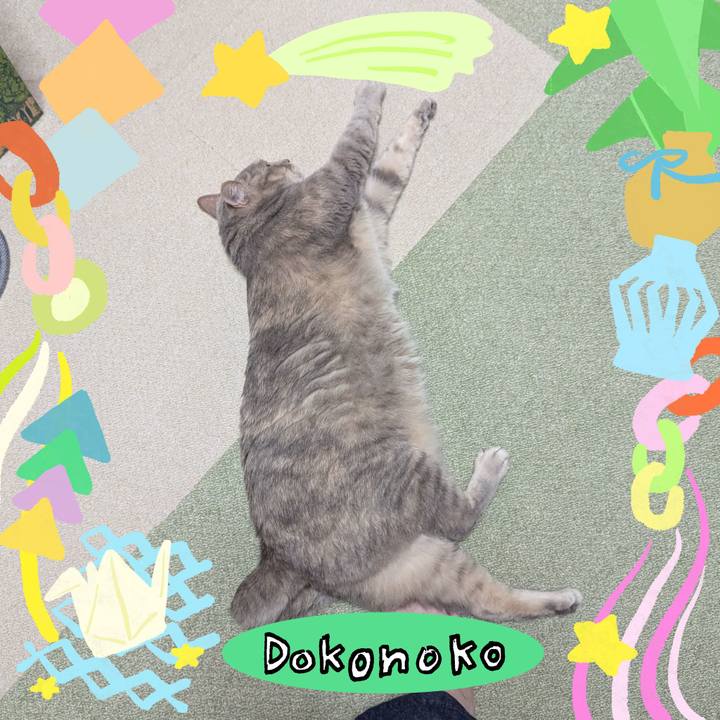 F26cec6b 4872 4993 985d 6e345be9a5b0 1755167156878