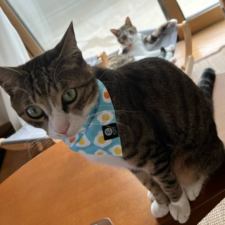 F26d55e6 4fe5 43bf 9775 79e41ffc03d6 1730716387028