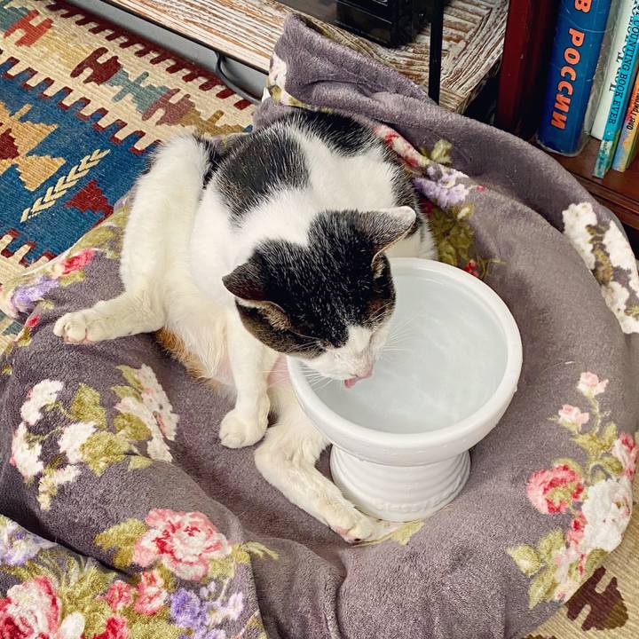 F26d6c0b 02e7 4db2 be99 6e7708dff926 1603515713914