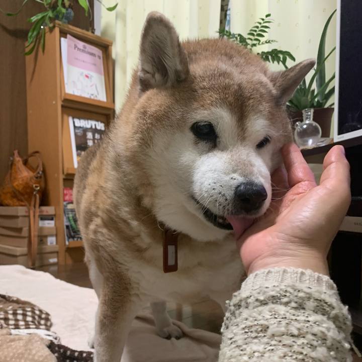 F26d6faf 4ec5 42e9 b65c 955d432b0d70 1606295275452