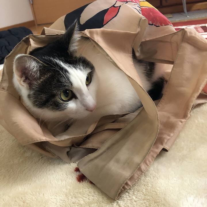 F26d76ec 1cc6 40c1 b31a 071358e9582a 1668472417577