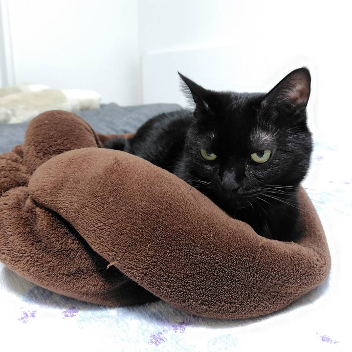 F26dcb12 4dbf 48b6 bfe0 d960fa162bb0 1731495126726