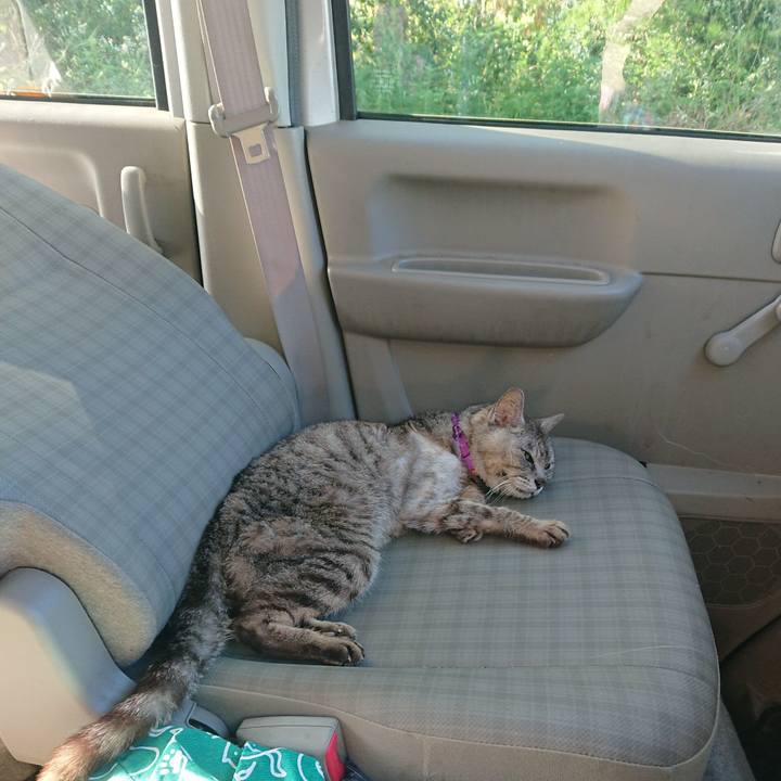 F26dcc18 feff 473c a5c6 4816558e8cdc 1598306078601