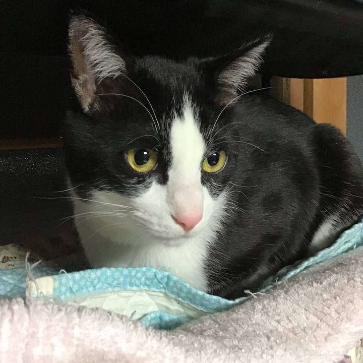 F26de4dd 3c1b 4e1b 8340 1ffd2fa712e7 1680698910315