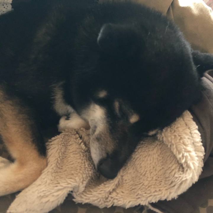 F26dec5d 4344 414b 8fc2 be37e30b3b83 1536461374726