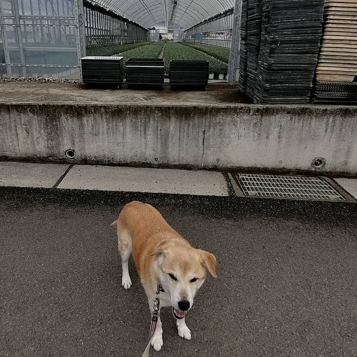 F26def8b f836 4bab 9ae1 888abde76d79 1618394018954