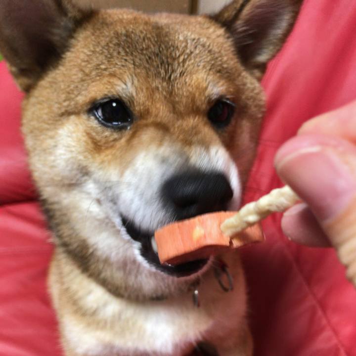 F26e3ba6 165a 4958 9ac4 3791d5a847b5 1567598941351