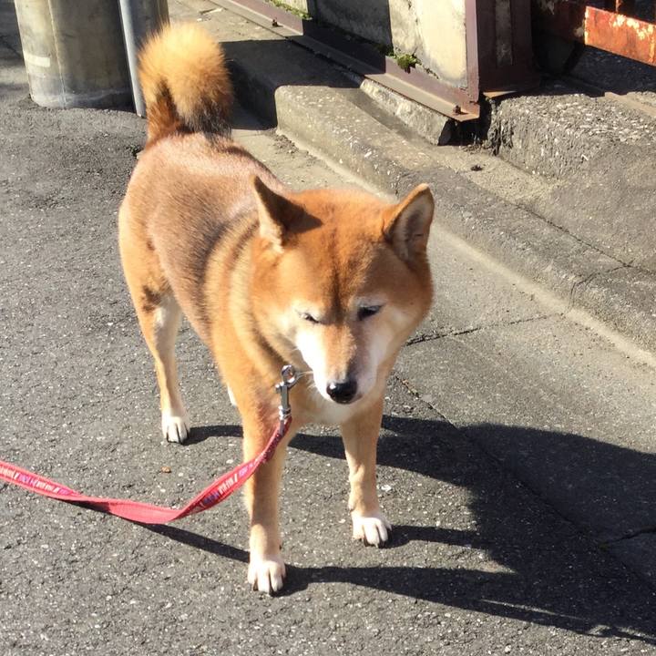 F26e610c 3f71 4586 87f2 f463b19b3ee7 1573350994857