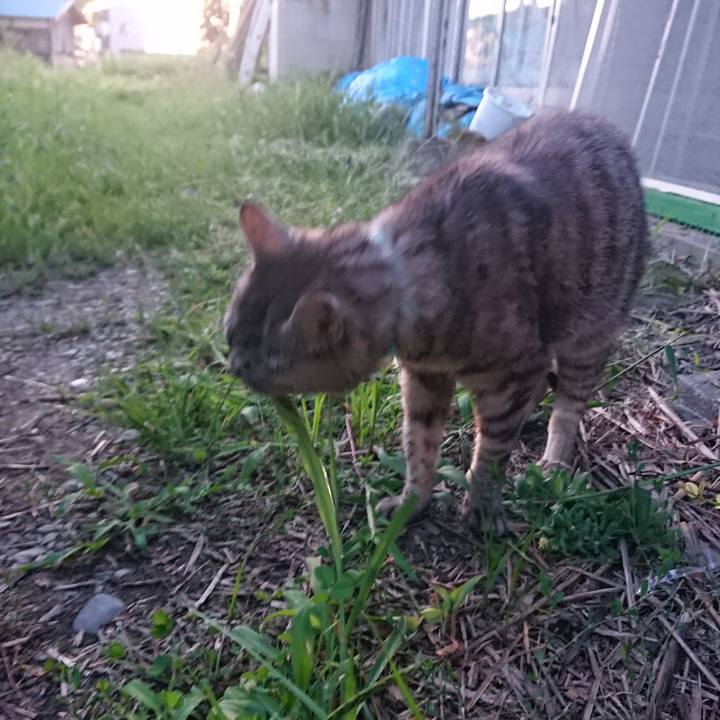 F26e7560 d760 43e8 aad2 e802086fc41d 1566812617939