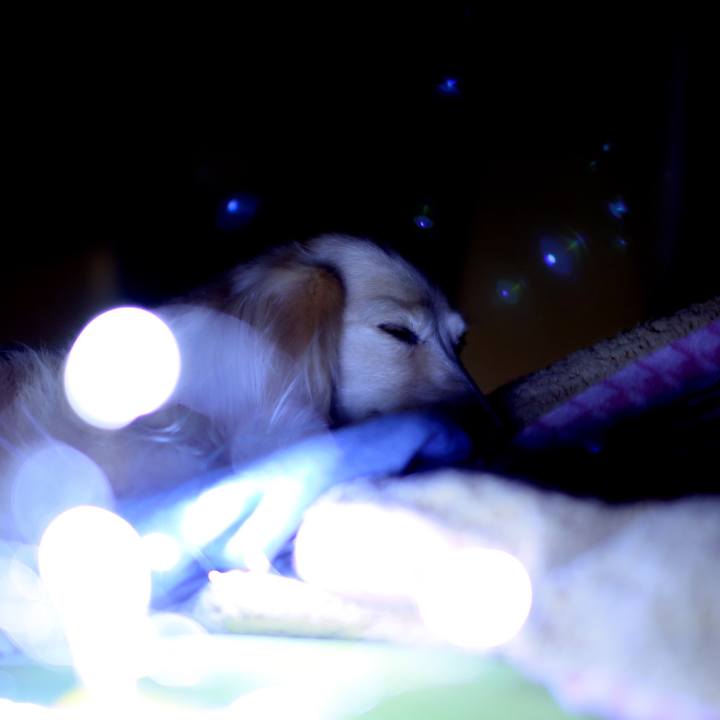 F26e7ae4 ccad 42a7 908f 67c485aa2151 1514127357164