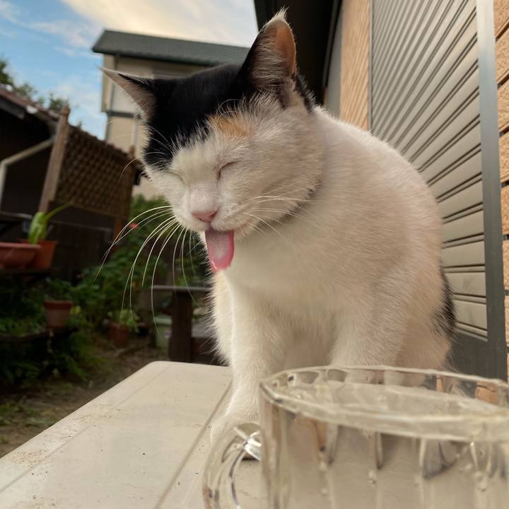 F26e911b 0ad4 4bb8 81a4 97c568d4f9ae 1635373611841