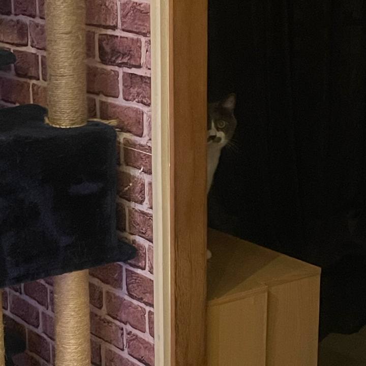 F26e9409 5cc9 4cbf bcc0 fd95720c2984 1728299983572