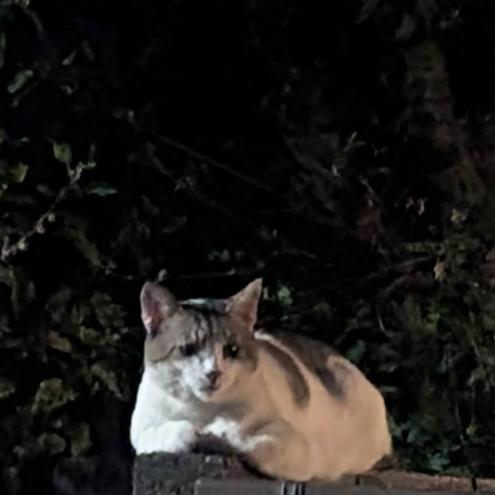 F26eabe3 a23e 496b b9bf c71670ac92dd 1755962186362