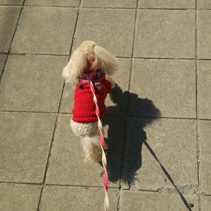 F26eca8a 9b75 4ba4 a3ba 79a86e768aee 1520411352730