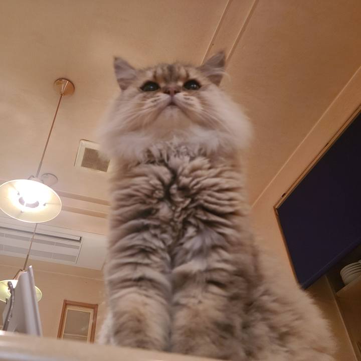 F26f339b 77e9 4467 a406 19cfb011afb4 1666073948788