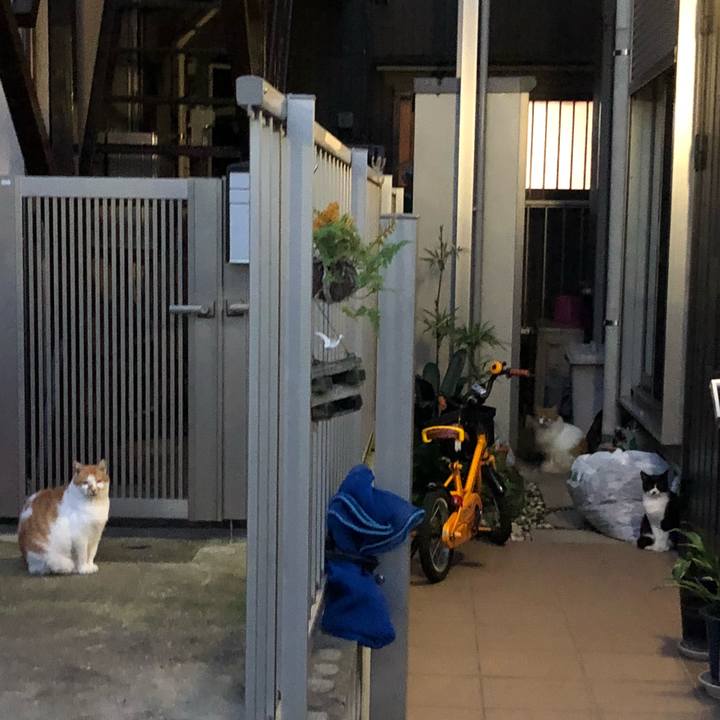 F26f37fa ffd6 4fcc 9b37 a7a3bc86e049 1540119142456