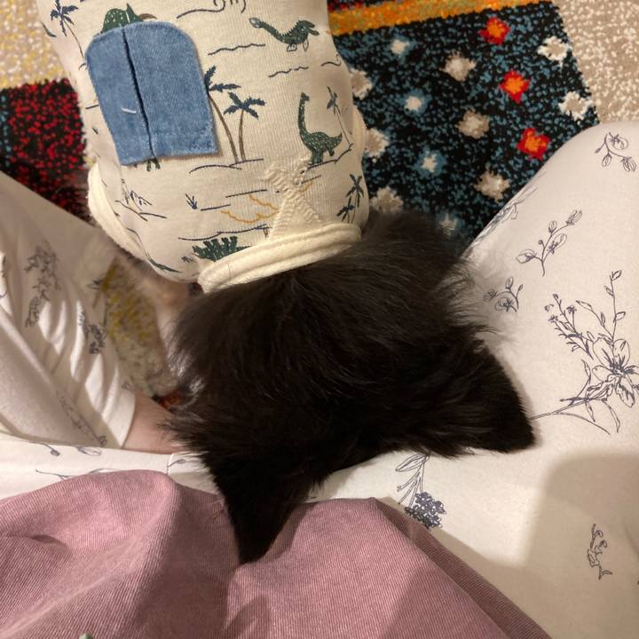 F26f37fd d37e 4f3f 9702 bd1d6aa64f39 1716047259836