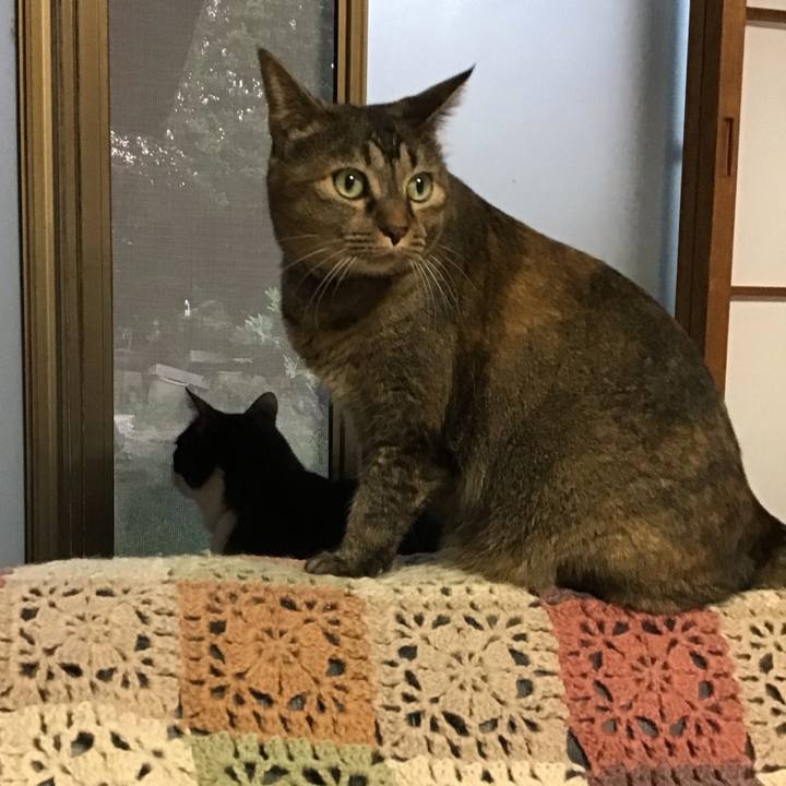 F26f64ef 51ad 4667 91da a2d285623325 1760345372410