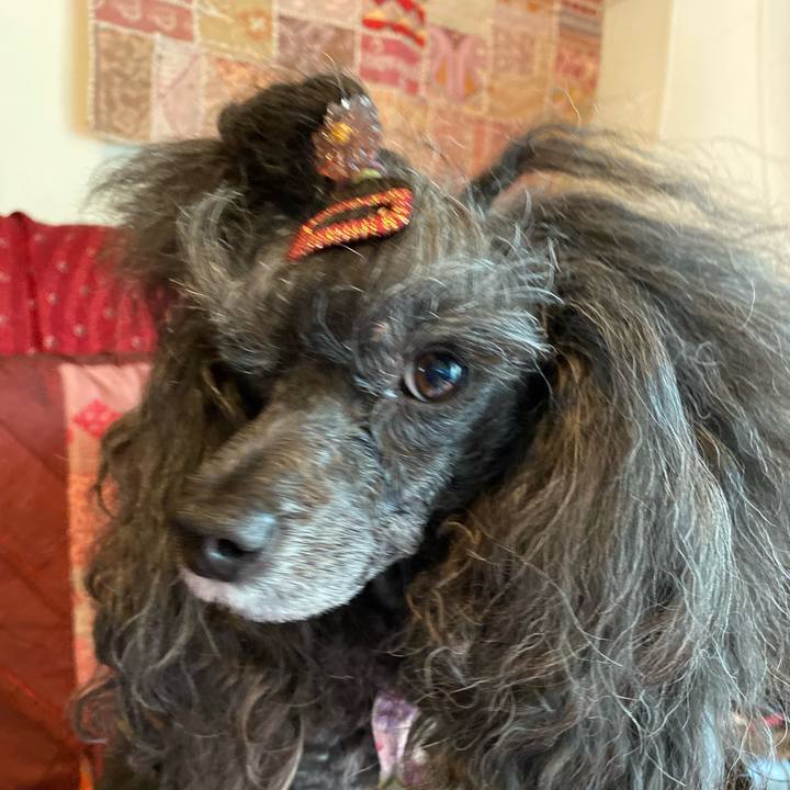 F26f9309 85ed 4b6c 90ad 10a8e84e959d 1695092505190