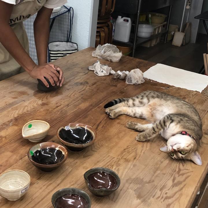 F26fde8c 49dc 4954 a2bc c7295fa92009 1632033787713