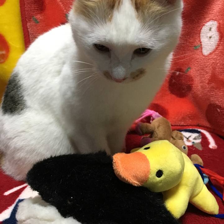 F26fdf42 b396 4971 8a44 6b6f7ee9eb4e 1519742686738