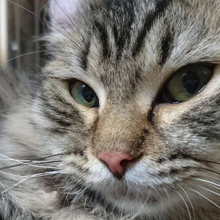 F26fea2d e7ae 4ffa 91be 6a2d4bb1a25d 1517656264513