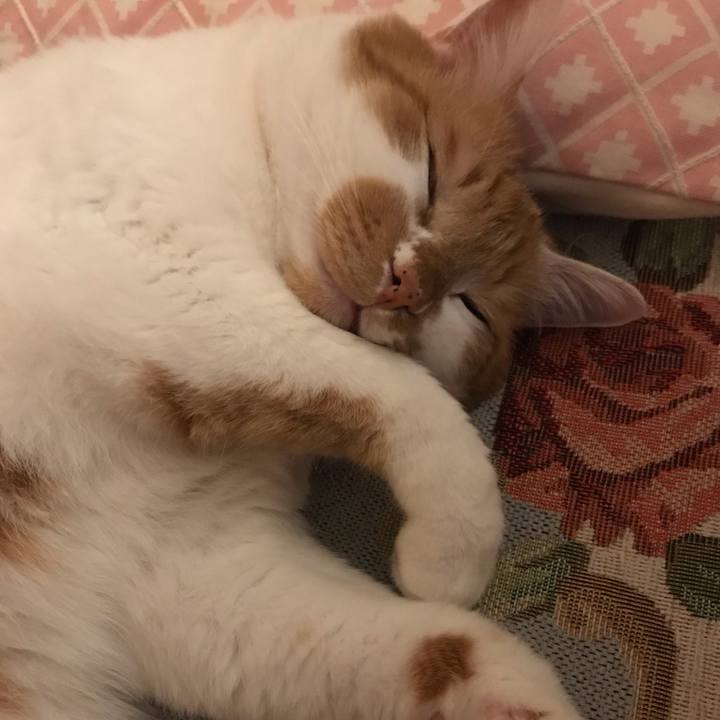 F26ff539 d506 4c9b ab7d deb12a4719c6 1559734789630