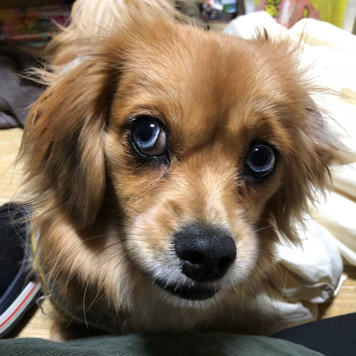 F270228f aa04 4155 aa92 db3a338eca1e 1514151491560