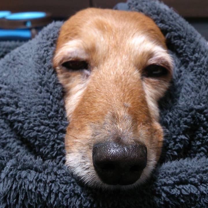 F2703d46 f4a8 413a 9069 8944cef8e28f 1637969364624