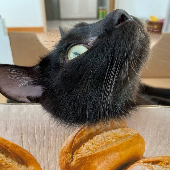 F27042b4 6575 4213 b73c b79b56030250 1664713428026