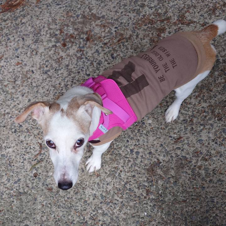 F27084f0 a446 4a7e 936a 6e32381589cd 1773821385213