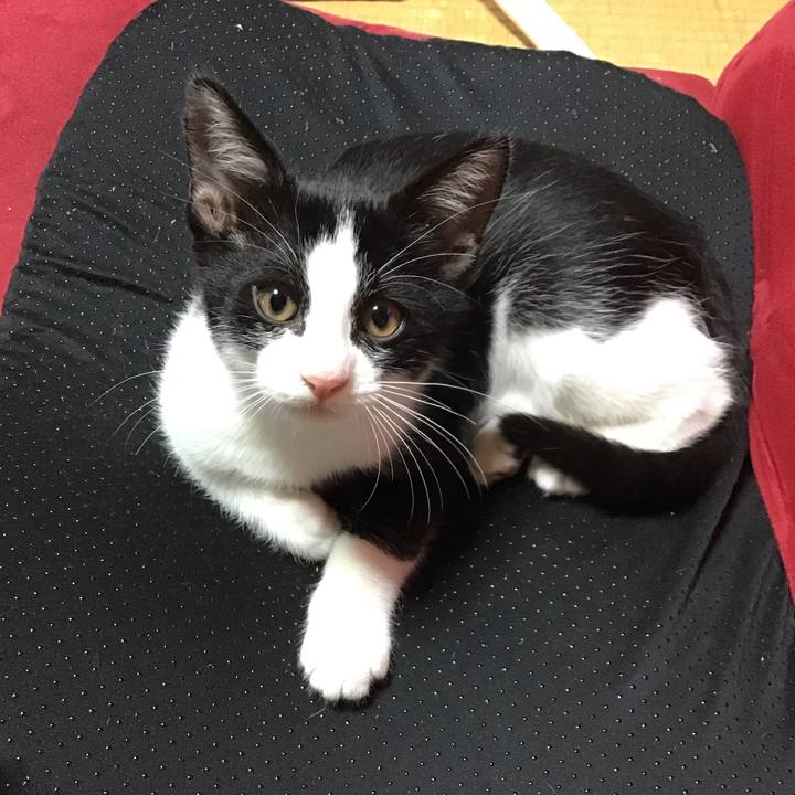 F2709f77 45e8 4ddc 9c7e 50caeb77e645 1626250605734