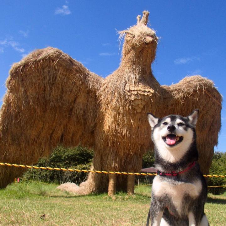 F270d8d4 9ced 4d54 8fa6 aa630be7e71d 1633222897824