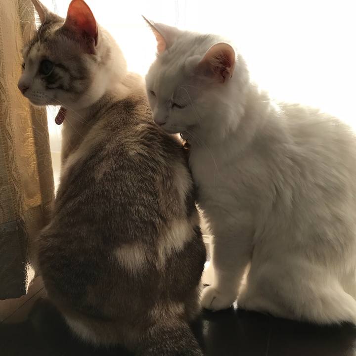 F270e0b3 a284 4e05 8c34 f0487fbee6b4 1514973617740