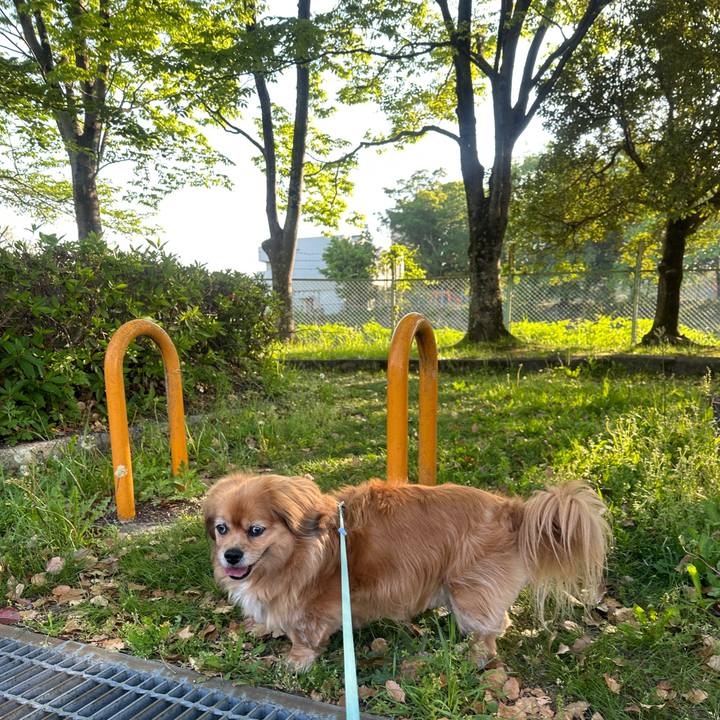 F270e823 d3a3 4bcf 8831 31e9b2400c47 1746050934676