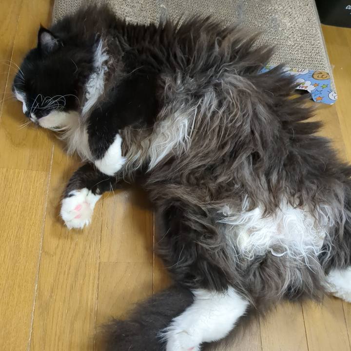 F270f23c 7a29 48c2 aaf5 90f283638a3b 1757997289779