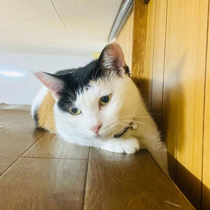 F27101e0 b605 44bc ae3e 6e41c2e4c91d 1661810839461