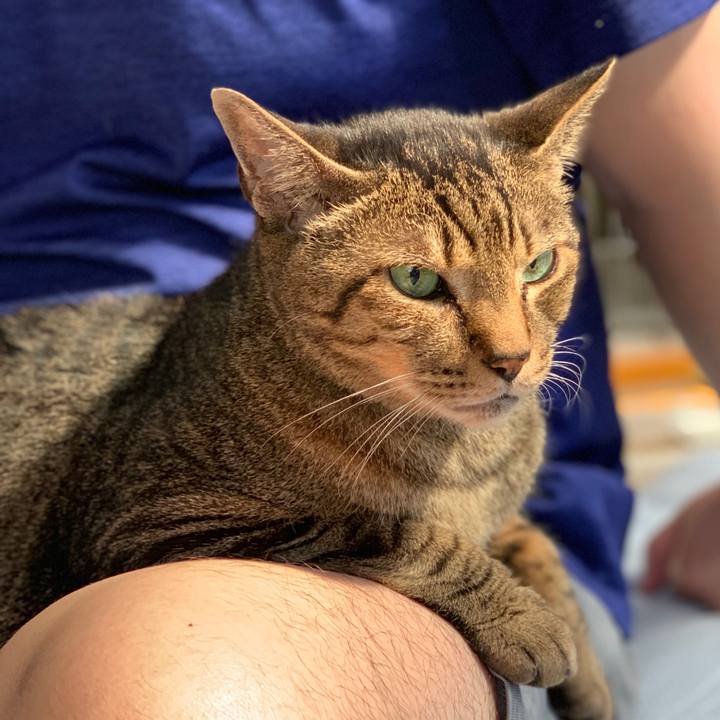 F2712986 b3ea 45e1 9911 7682be7a8b26 1561420974943