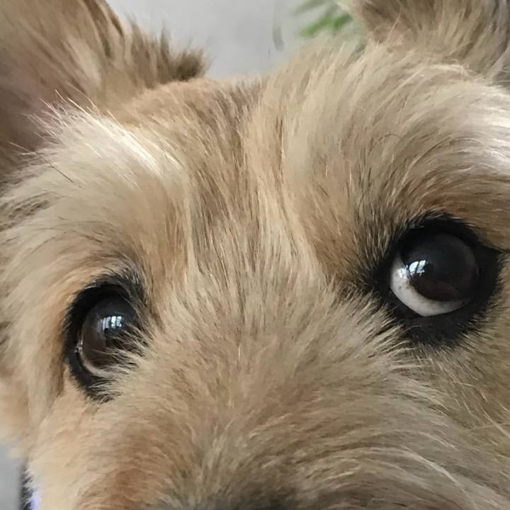 F2713050 8079 4904 9683 b0ff6b9ff40b 1764119235096