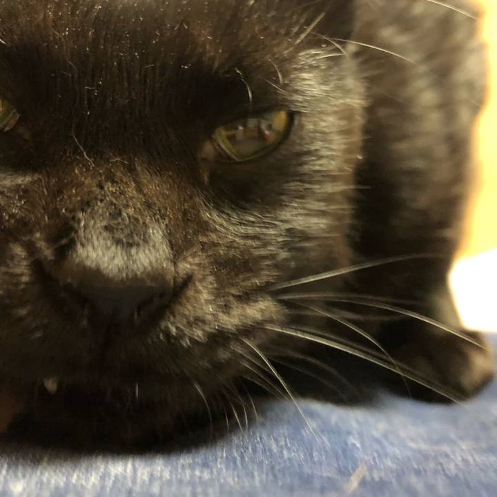 F2715d1b 7d37 4650 ac77 0f00d38f64b5 1615639017275