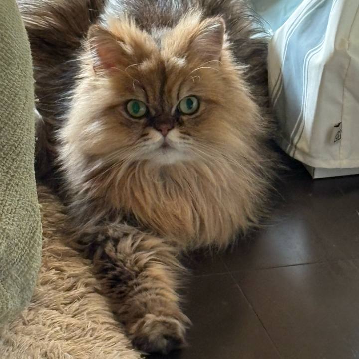 F2717329 f325 489c ae49 48832310b025 1761977222934