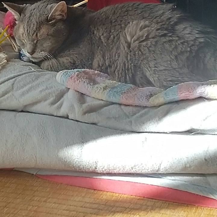 F2717d6f e9fb 4cef 9c23 6b2af79b113e 1664581147427