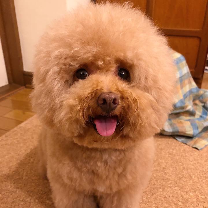 F27185b3 ba04 456c b61e f3e0e0889614 1564393133341