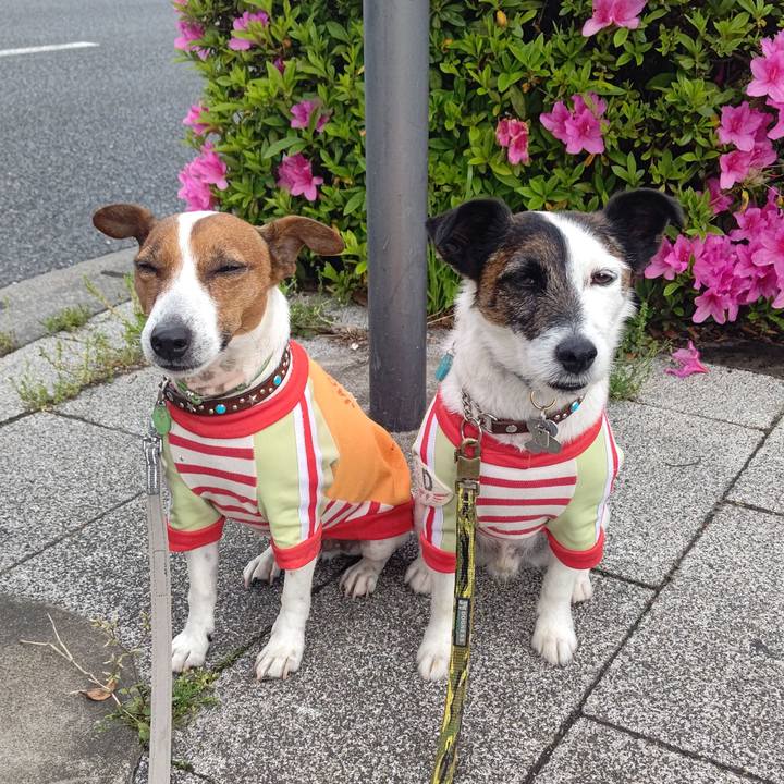 F271a44b 2c42 43b3 beb5 dc338d0d6808 1681774068661