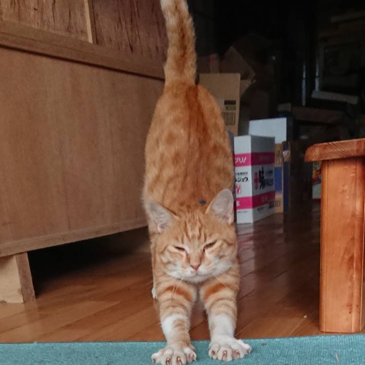 F271b599 9ab0 4559 a19f b15b753f30e2 1563267256069