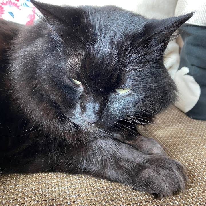 F271b7b1 4f69 4920 bd06 e254b03d0921 1638931131953